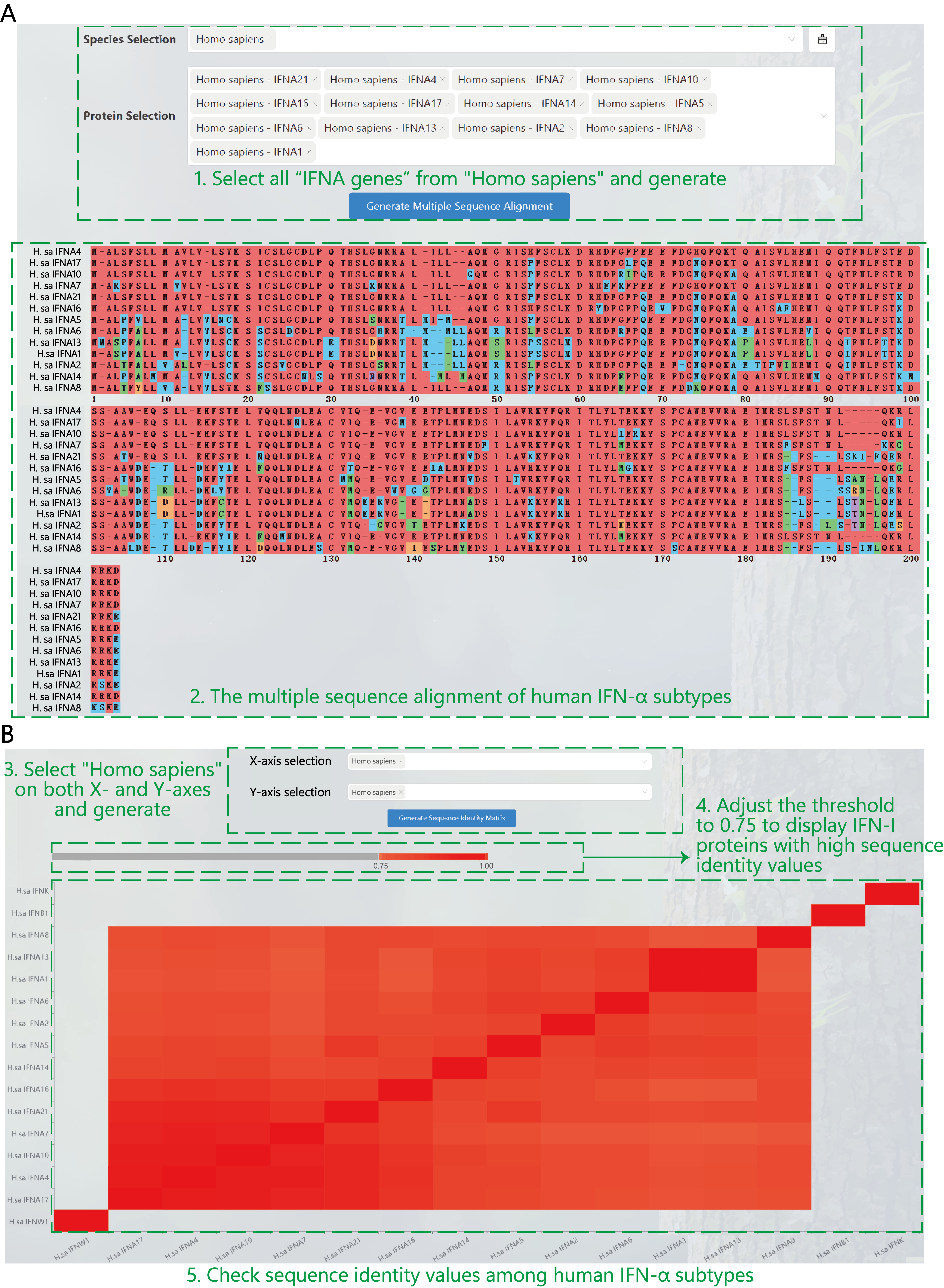 Evolutionary and comparative genomics workflow