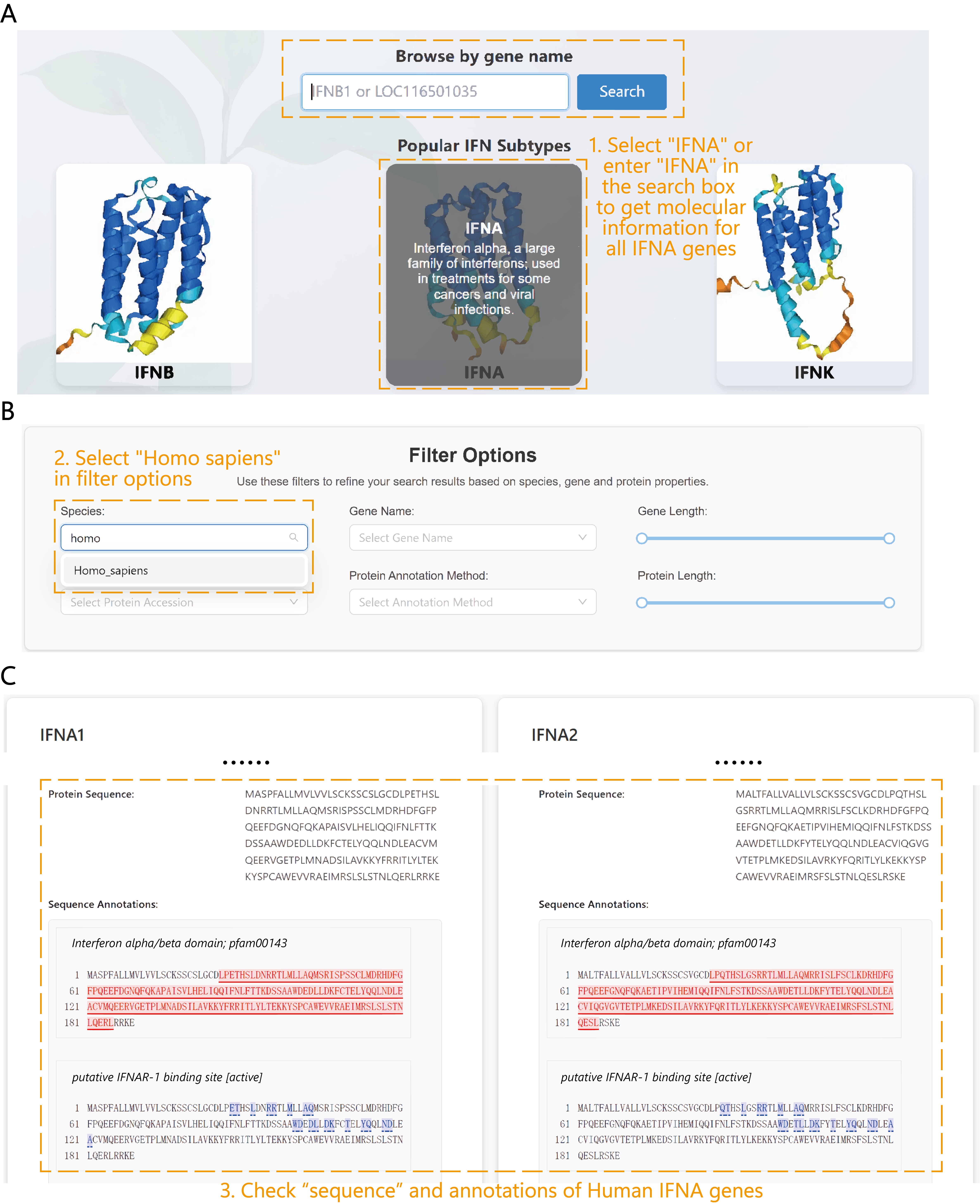 Molecular characterization workflow